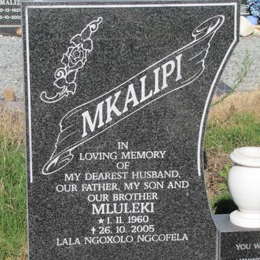 MKALIPI Mluleki 1960-2005