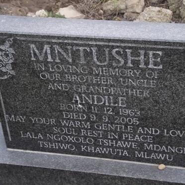MNTUSHE Andile 1963-2005