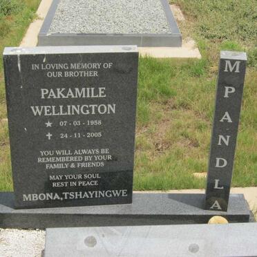 MPANDLA Pakamile Wellington 1958-2005