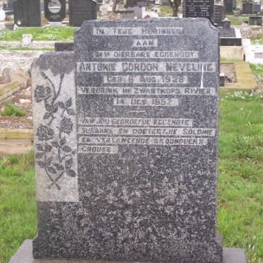 NEVELINE Antonie Gordon 1928-1952