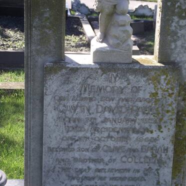 PAULS Gavin David 1953-1963