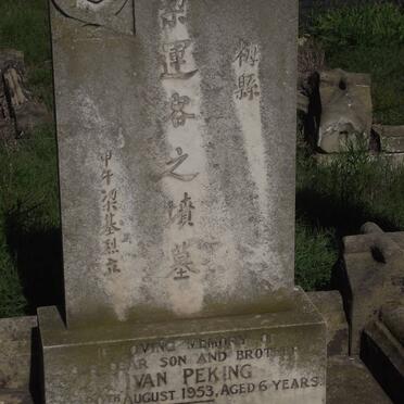 PEKING Ivan -1953