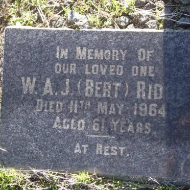 RIDGE W.A.J. -1964