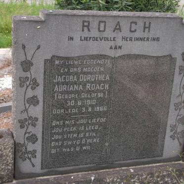 ROACH Jacoba Dorothea Adriana nee OELOFSE 1910-1966