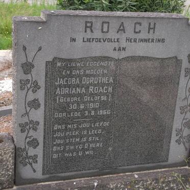 ROACH Jacoba Dorothea Adriana nee OELOFSE 1910-1966