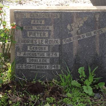 ROUX Pieter Andries, le 1874-1948