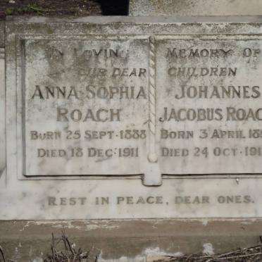 ROACH Anna Sophia 1888-1911 :: ROACH Johannes Jacobus 1897-1918