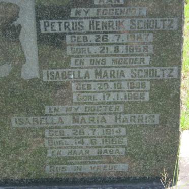 SCHOLTZ :: HARRIS