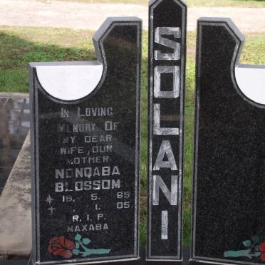 SOLANI Nonqaba Blossom 1965-2005