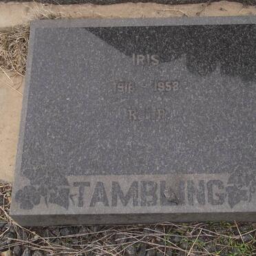 TAMNLING Iris 1916-1958