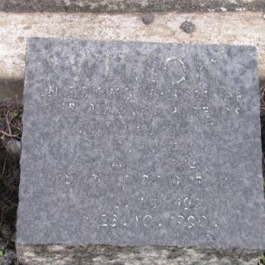 WILSON Cornelius J. 1912-1964 &amp; Gwendoline F. 1921-1990