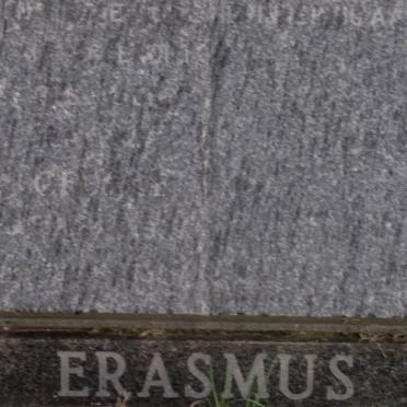 ? ERASMUS
