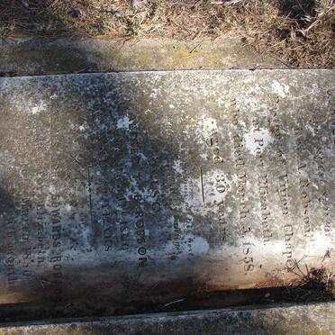 ROBSON Cornelius W.J. -1858 :: ROBSON Alfred T.B. -1866 :: ROBSON Cornelius John Edwards -1880