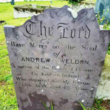 WELDON