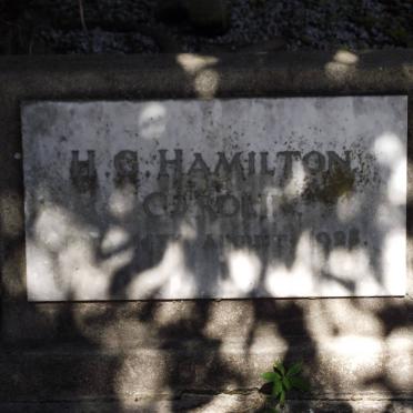 HAMMILTON H.G. -1928