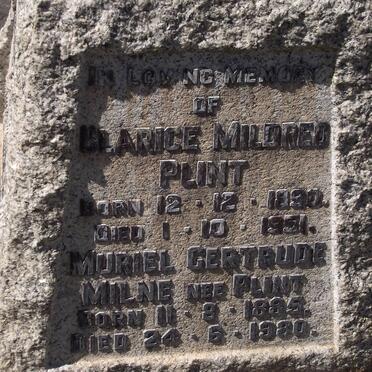 MILNE Muriel Gertrude nee PLINT 1885-1980 :: PLINT Clarice Mildred 1890-1951