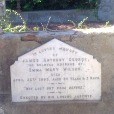WILSON James Anthony George -1893