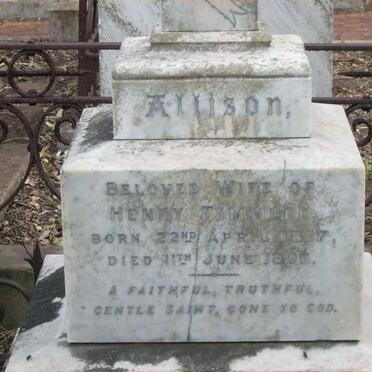 TIMMLER Henry -1913 &amp; Allison 1857-1896