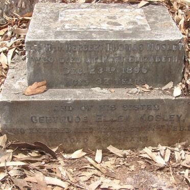 MOSLEY Herbert Thomas -1896 :: MOSLEY Gertrude Ellen -189?
