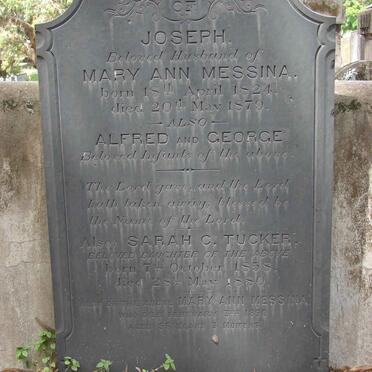 MESSINA :: TUCKER