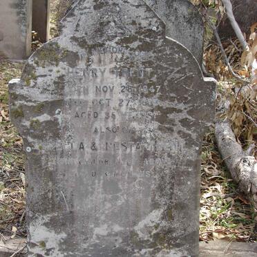 TRENT Henry 1847-1883 :: TRENT Stella :: TRENT Nesta