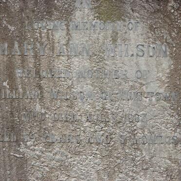 WILSON Mary Ann -1883
