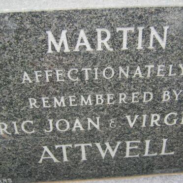 ATTWELL Martin