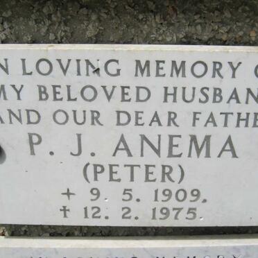 ANEMA P.J. 1909-1975