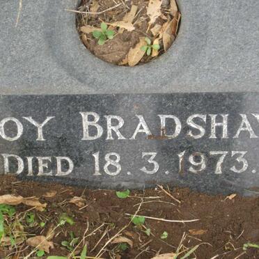 BRADSHAW Joy -1973