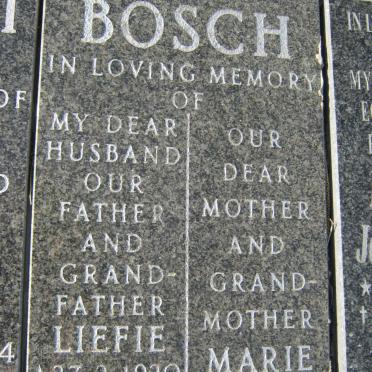 BOSCH Liefie 1920-1999 &amp; Marie -2000
