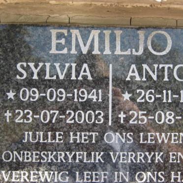 Em - Surnames starting with the letters Em