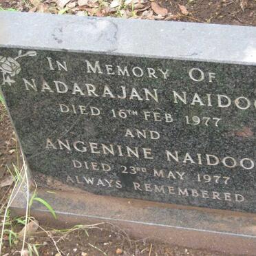 NAIDOO Nadarajan -1977 &amp; Angenine -1977