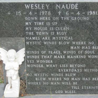 NAUDE Wesley 1978-1981