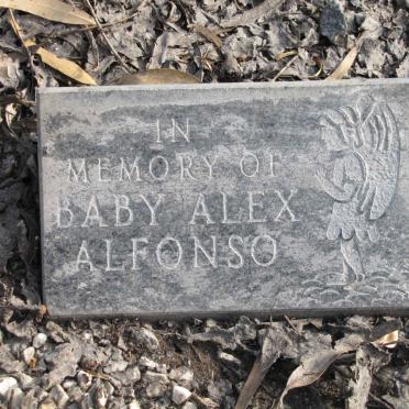 ALFONSO Alex