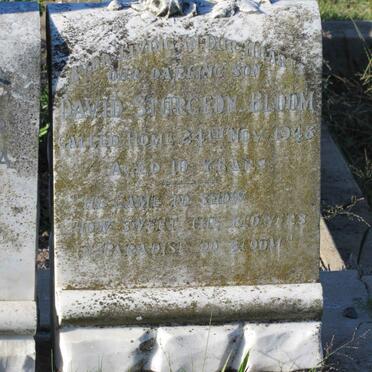 BLOOM David Sturgeon -1948