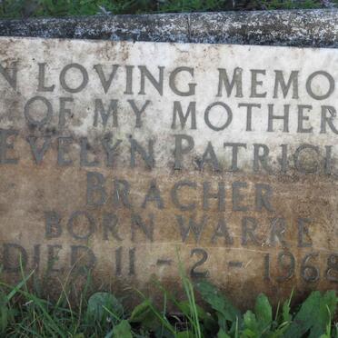 BRACHER Evelyn Patricia nee WARRE -1968