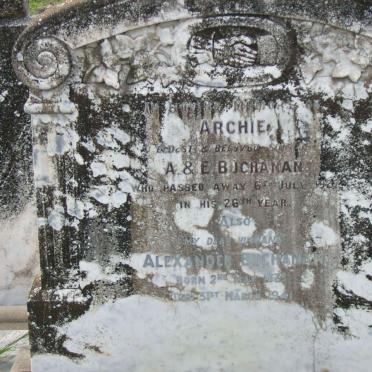 BUCHANAN Alexander 1875-1941 :: BUCHANAN Archie -1927 
