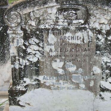 BUCHANAN Alexander 1875-1941 :: BUCHANAN Archie -1927 
