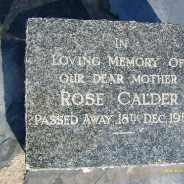 CALDER Rose -1954