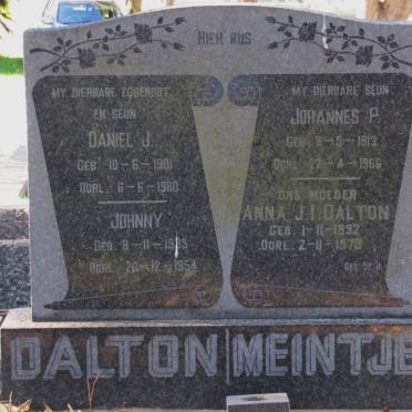 DALTON :: MEINTJES