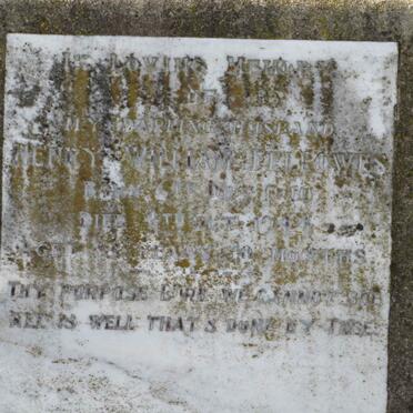 FELLOWES Henry William -1910