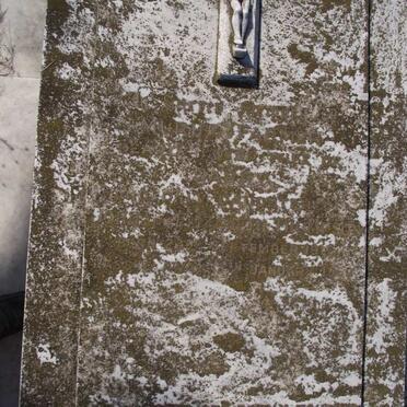 FARMER Muriel nee THOMPSON 1919-1960