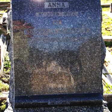 HA? Anna