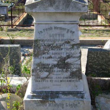 JARVIS Lottie -1913