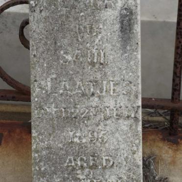 LAATJES Saul  -1895