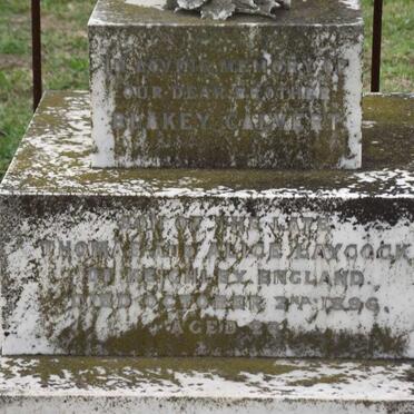 LAYCOCK Blakey Calvert -1896