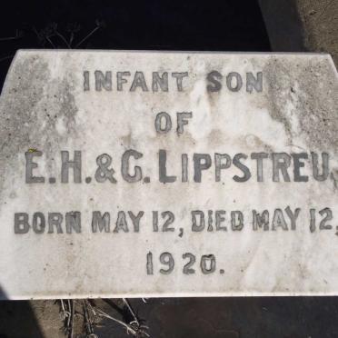 LIPPSTREU Emil Hugo 1885-1957 &amp; Gretchen 1892-1959 :: LIPPSTREU Infant -1920