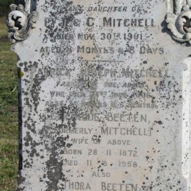 MITCHELL :: BEETEN