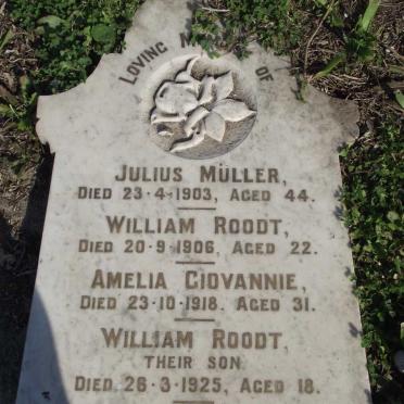 MULLER Julius -1903 :: GIOVANNIE Amelia  -1918 :: ROODT  William  -1906 :: ROODT William -1925