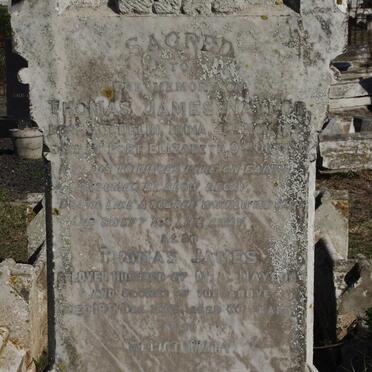 NAYLOR Thomas James :: NAYLOR Thomas James